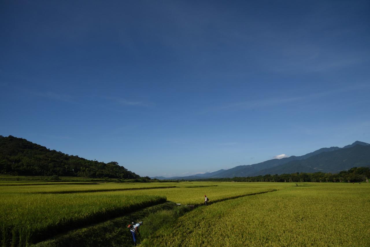 Lost And Find Homestay Ґуаньшань Екстер'єр фото